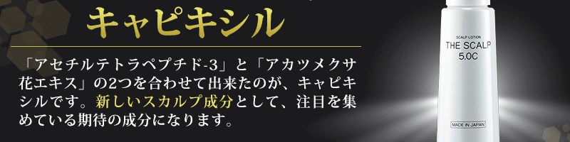 �V��ѐ����L���s�L�V��THE SCALP5.0���T�C�g